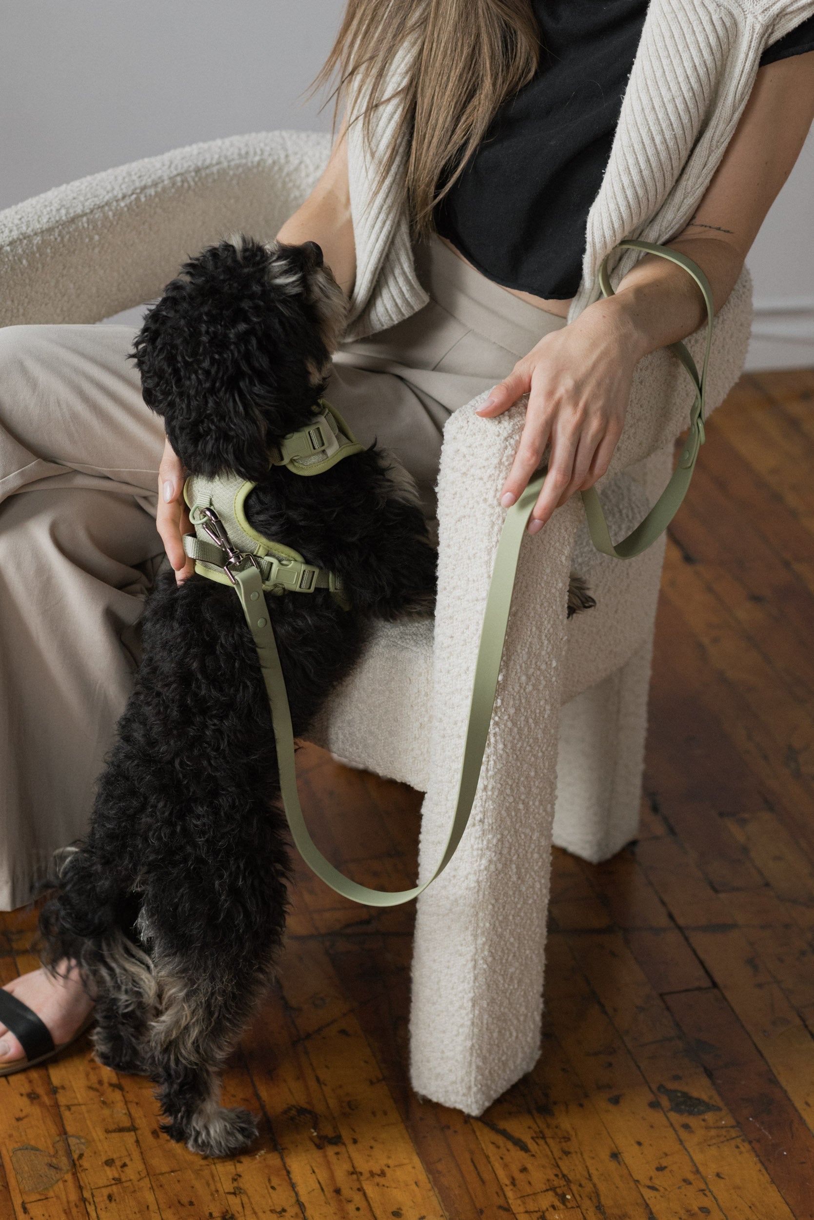 Person sitting on a chair holding a small black dog on a leash indoors.
