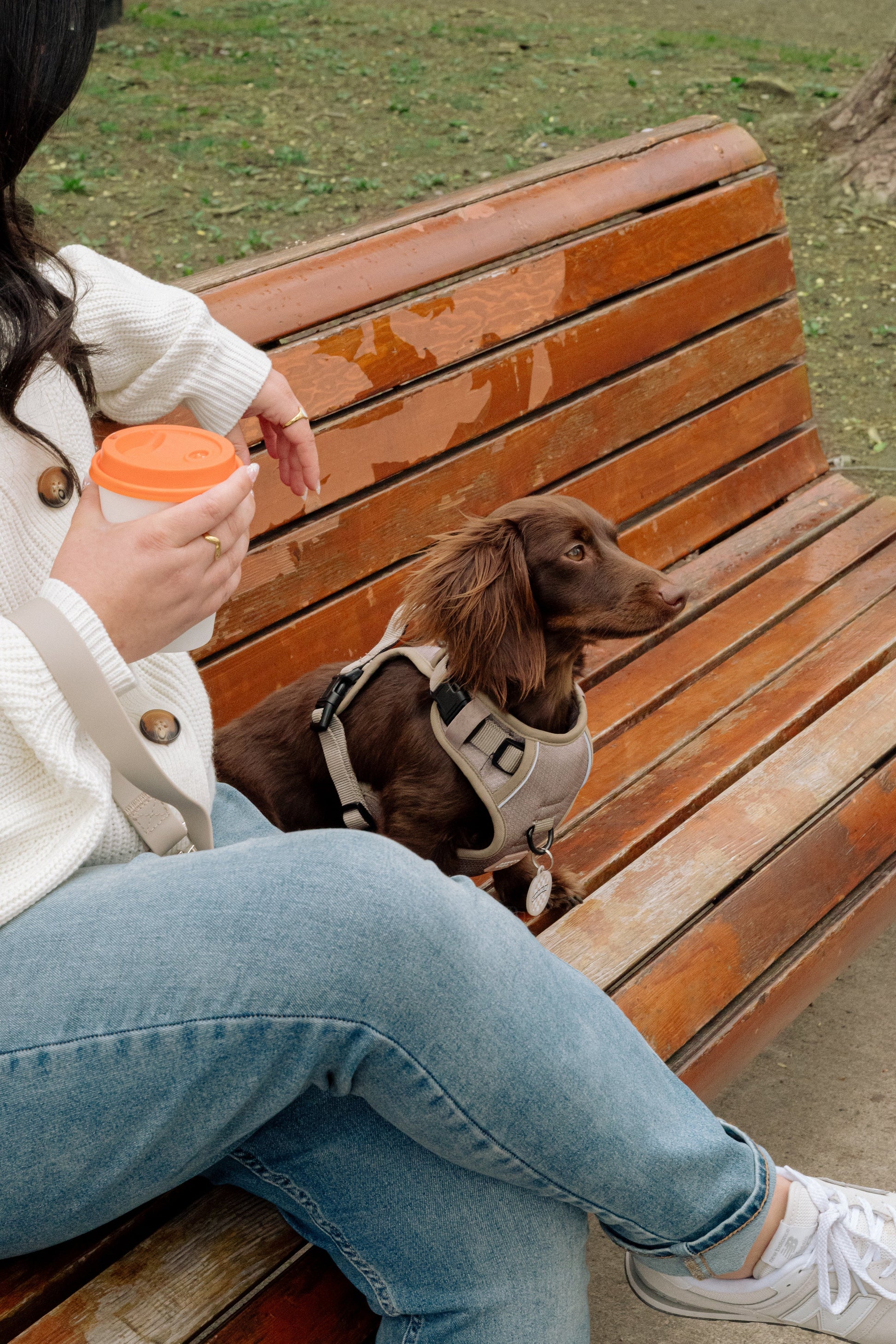 Person sitting on a bench with a small dog, holding a coffee cup.