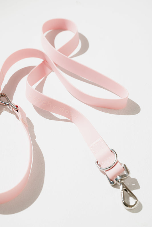 On-the-go Leash in Lychee leash from Floof Pet Products on a neutral background