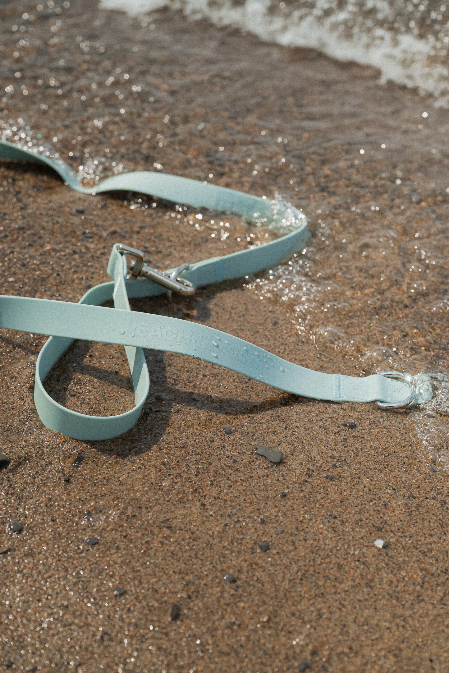 Light blue dog leash on wet sand near water