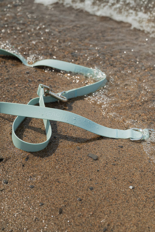 Light blue dog leash on wet sand near water