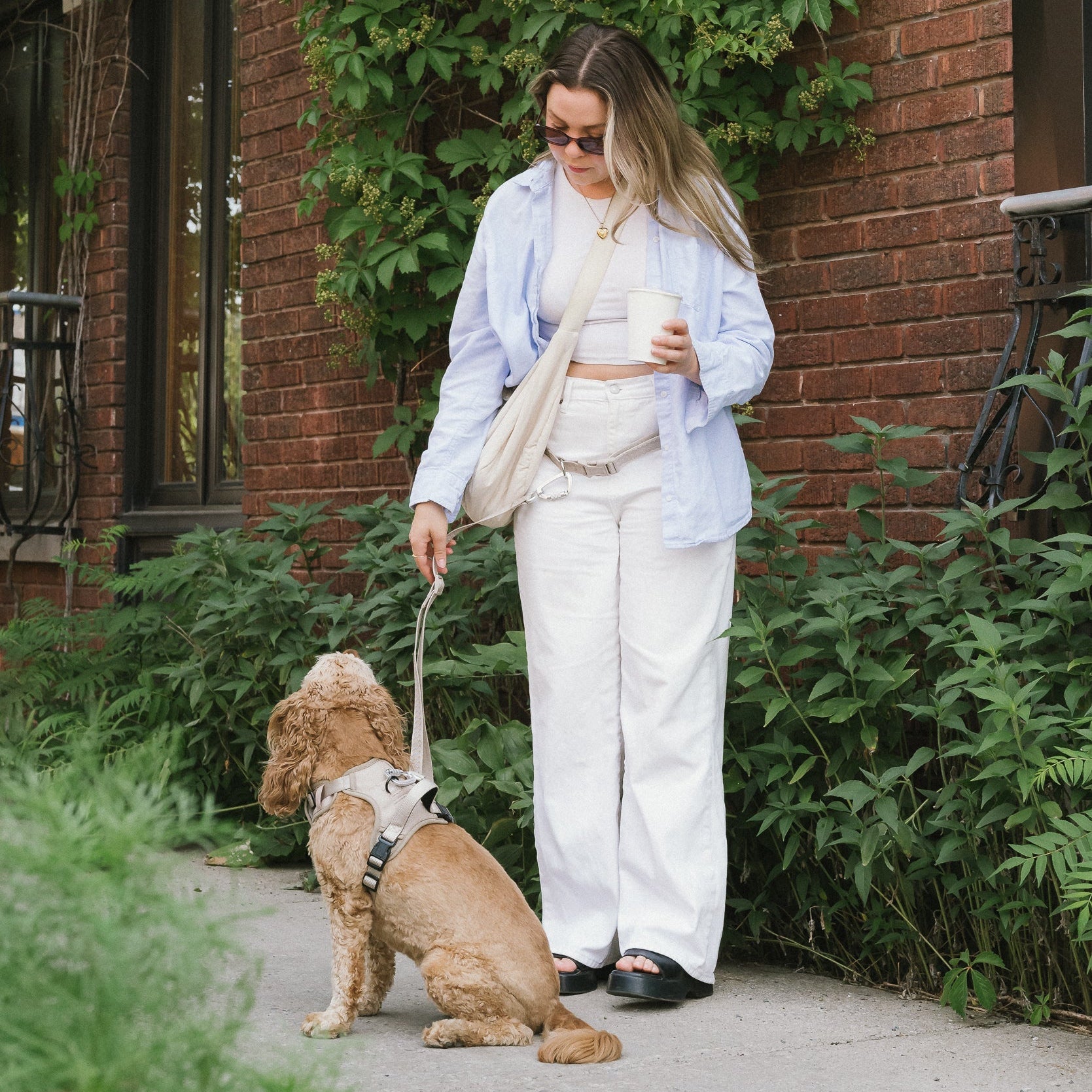 Woman walking a dog on a leash in an urban setting with brick building and greenery.