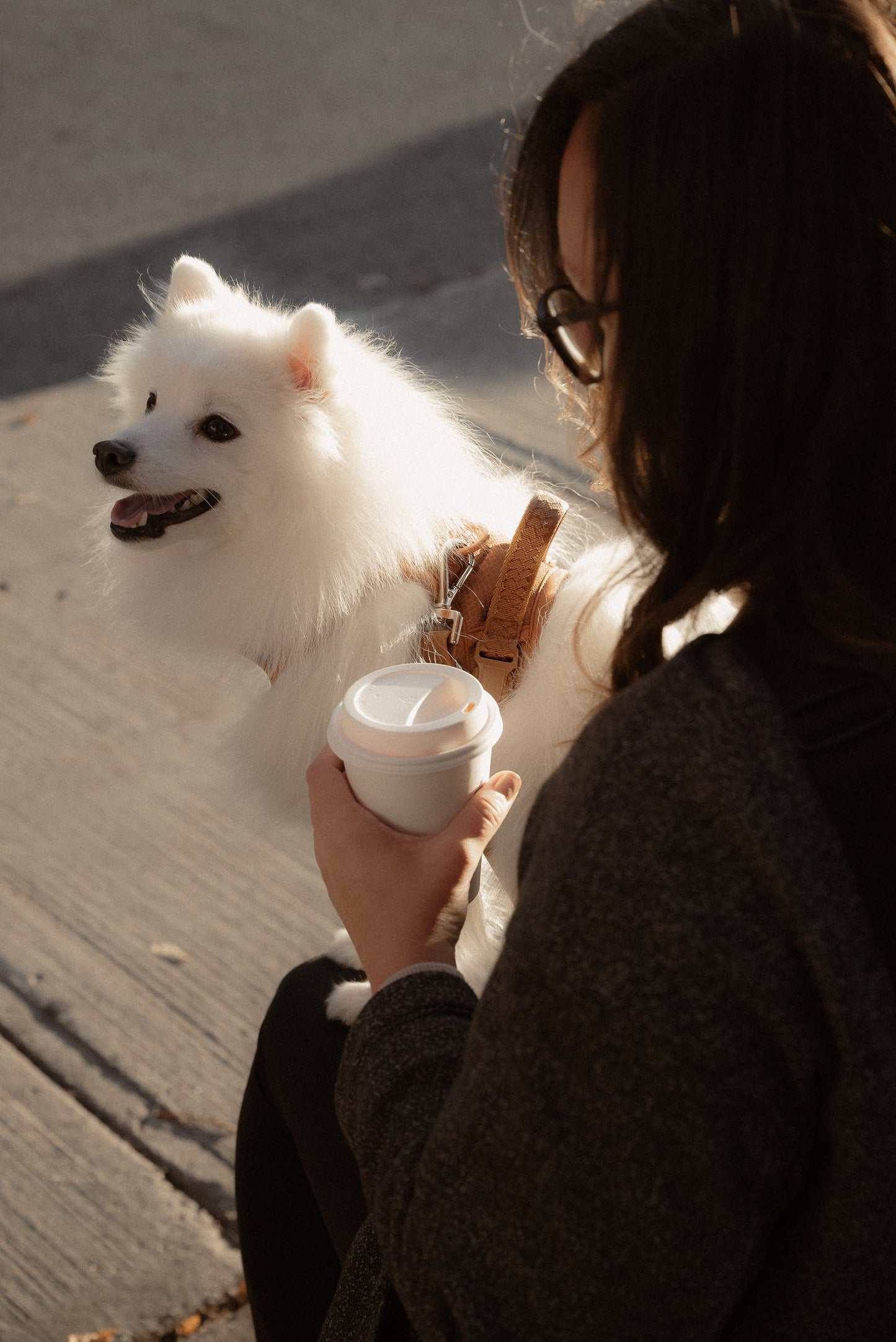 Person holding a coffee cup with a small white dog on a leash