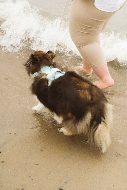 Classic 2.0 Harness Breeze dog harness on a dog walking with a woman on the beach