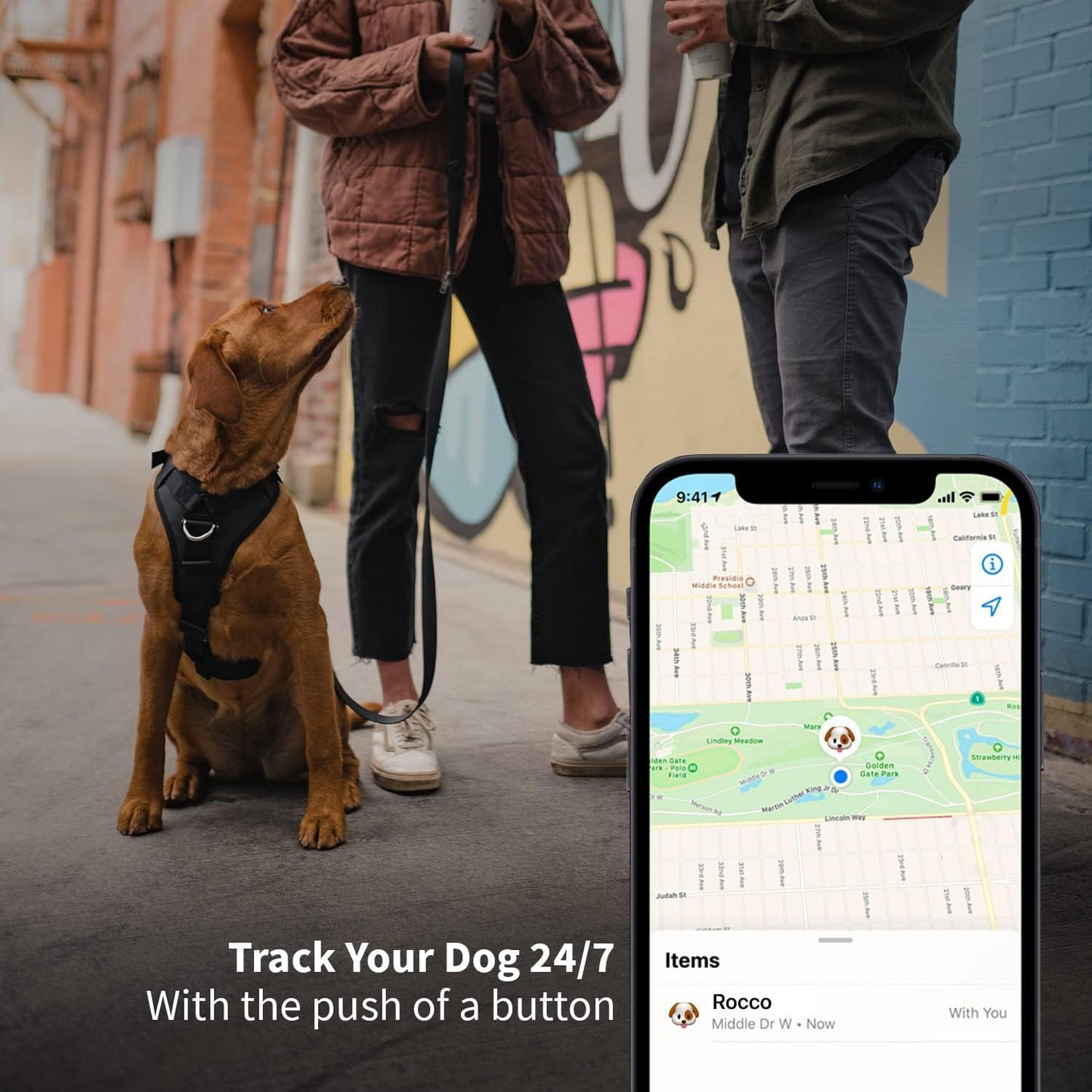 Pet tracker tag on phone
