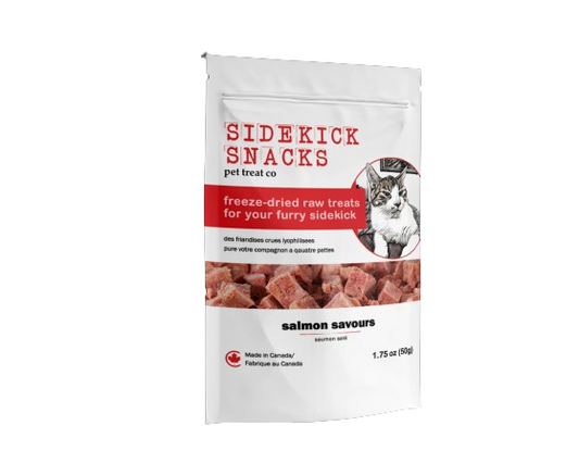 Freeze-Dried Salmon Cat Treats cat treats from Floof Pet Products on a neutral background