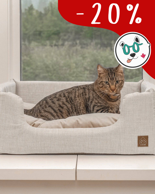 Sansa Modern Pet Bed pet bed from Floof Pet Products on a neutral background