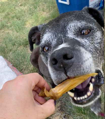 Multi-Dog Mega Stock-Up