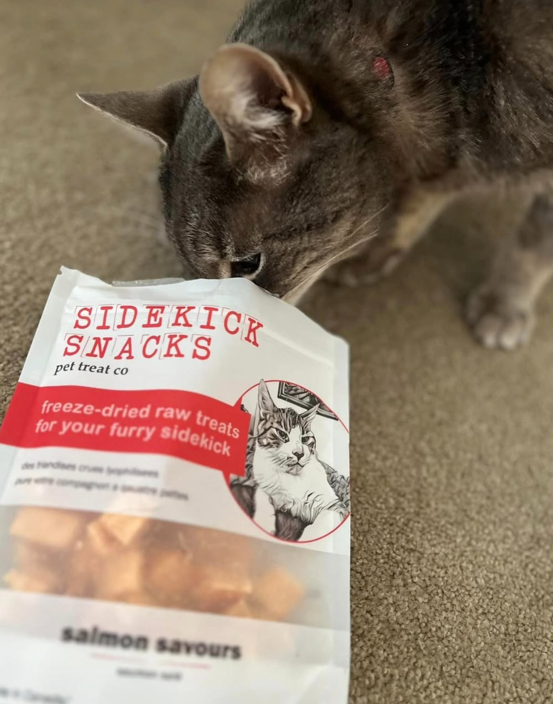 Cat sniffing a package of Sidekick Snacks freeze-dried raw treats for pets on a carpeted floor.