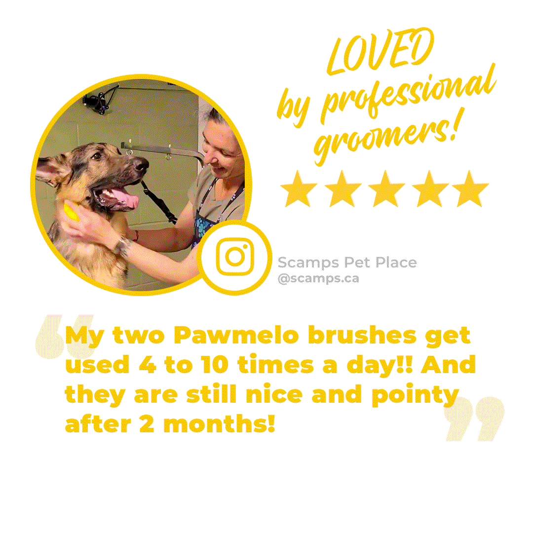 Silicone dog brush testimonial graphic gif