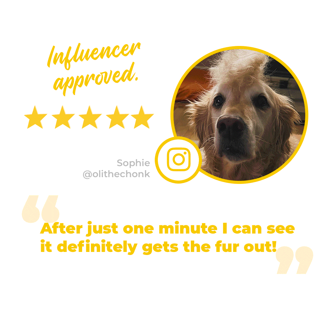 yello retreiver testimonial graphic