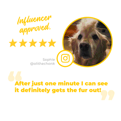 yello retreiver testimonial graphic