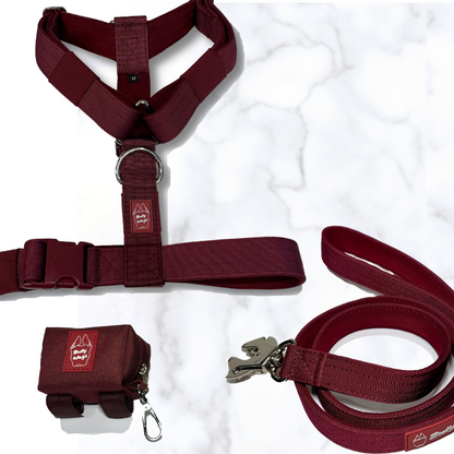 Y-Strap Harness, Leash, & Waste Bag Dispenser Set dog harness & leash from Floof Pet Products on a neutral background