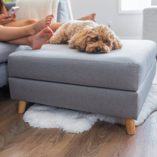 Otto Pet Ottoman pet bed from Floof Pet Products on a neutral background