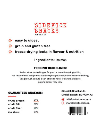 Freeze-Dried Salmon Cat Treats cat treats from Floof Pet Products on a neutral background