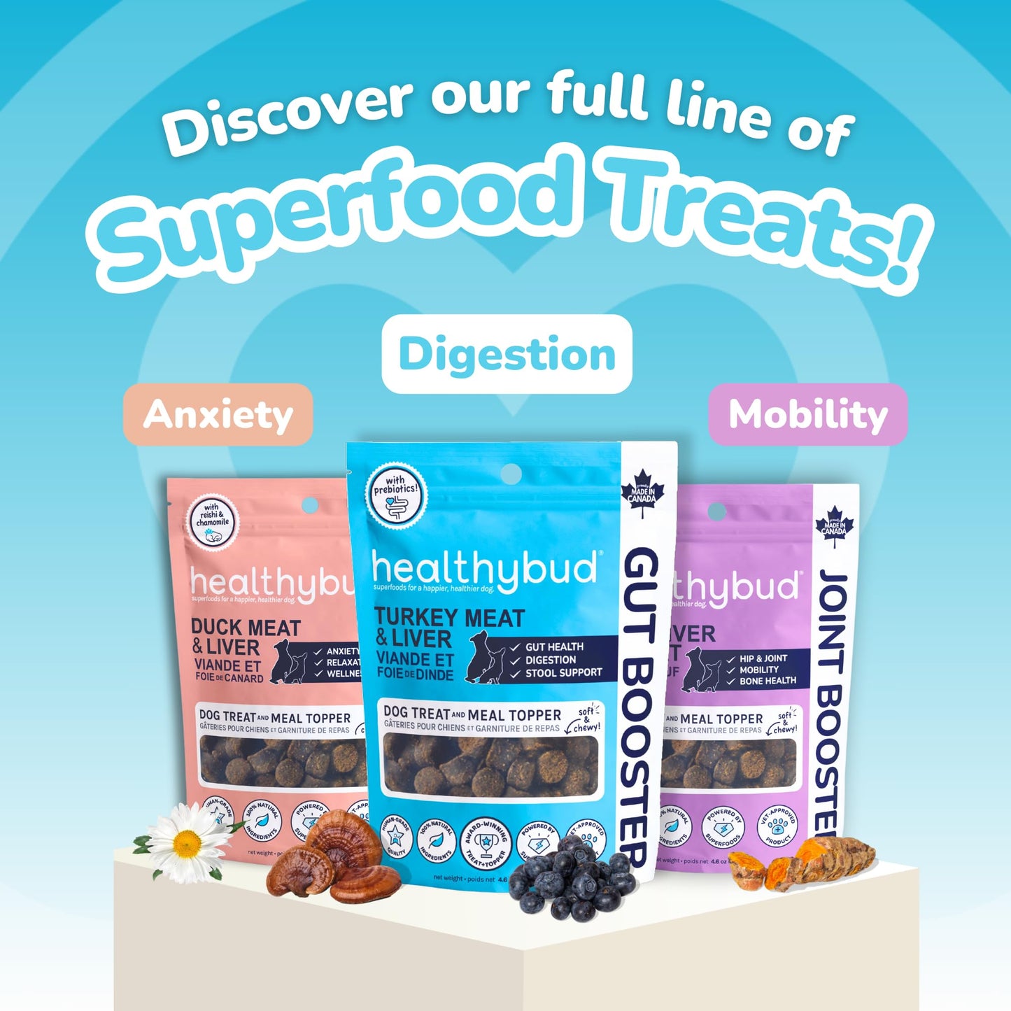 a graphic of the trio of flavours from the Healthybud training treats.