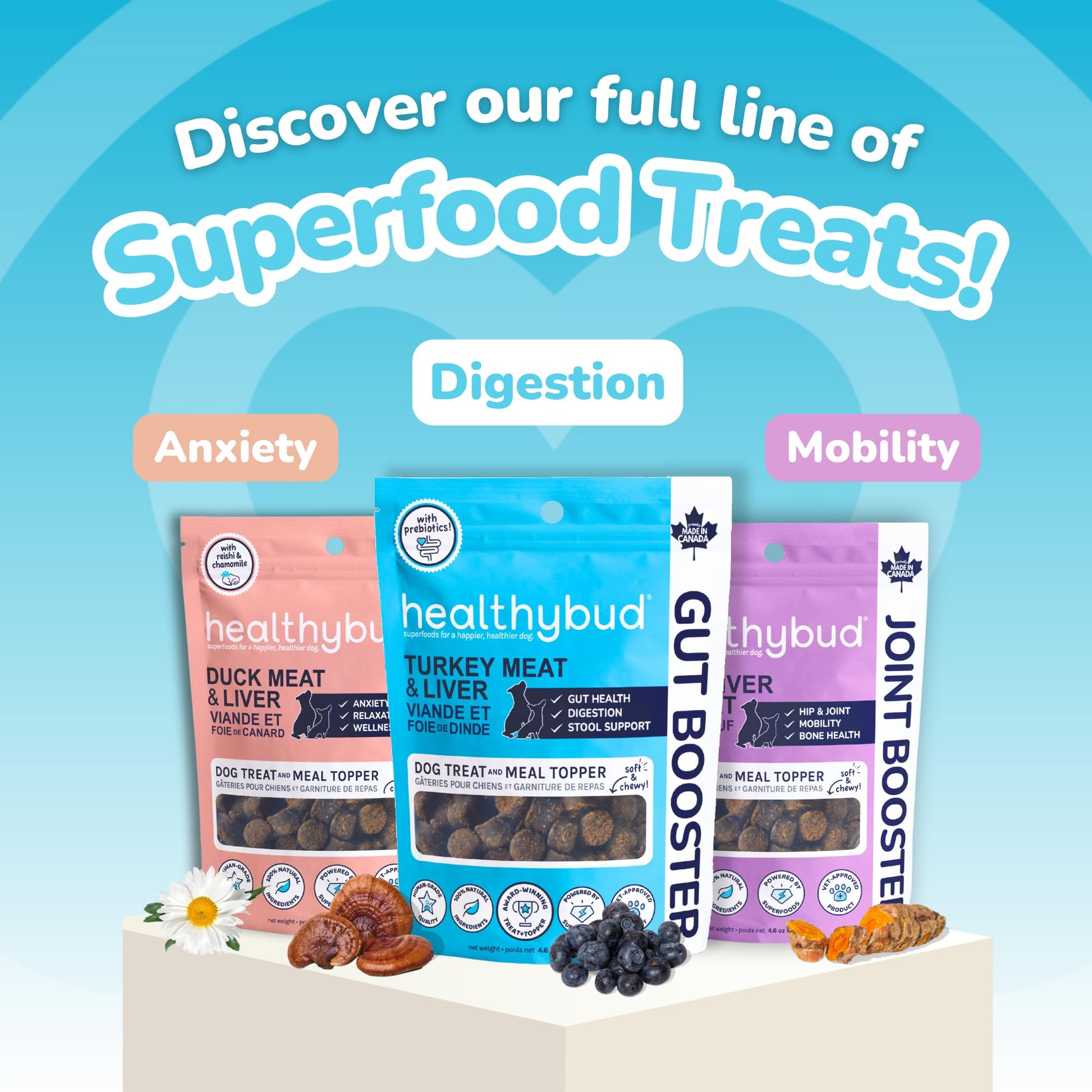 a graphic of the trio of flavours from the Healthybud training treats.
